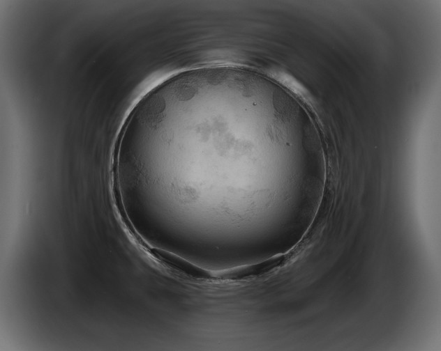X0000086731431200704131057