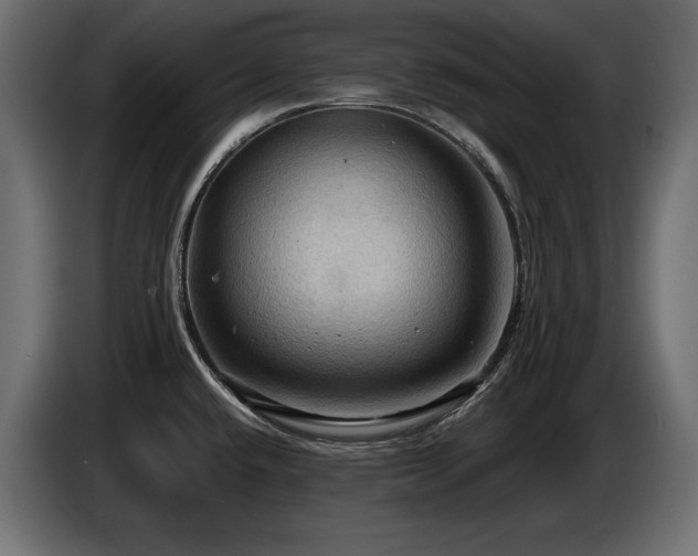 X0000086731432200704131057