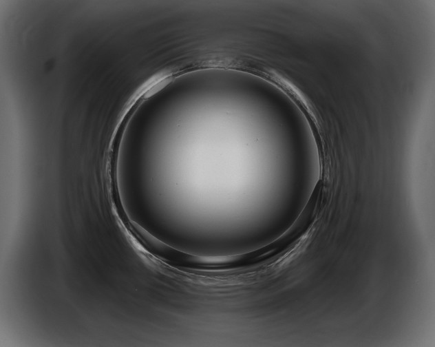 X0000086731434200704131057