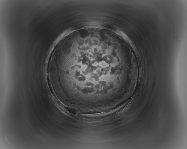 X0000086731435200704131057