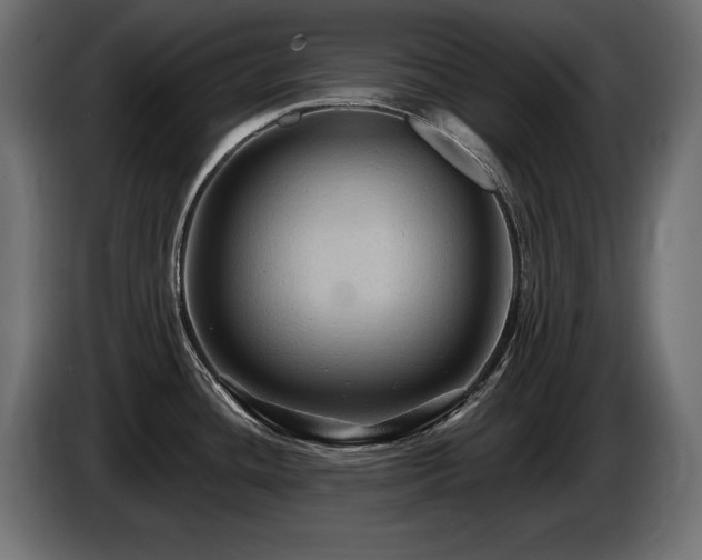 X0000086731436200704131057