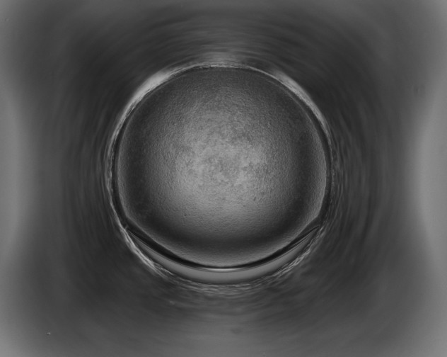 X0000086731437200704131057