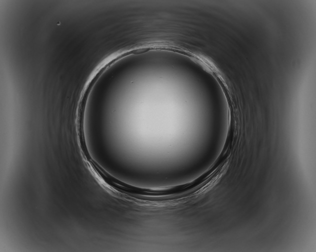 X0000086731438200704131057