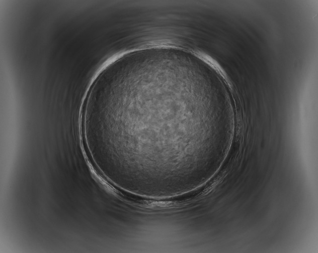 X0000086731439200704131057