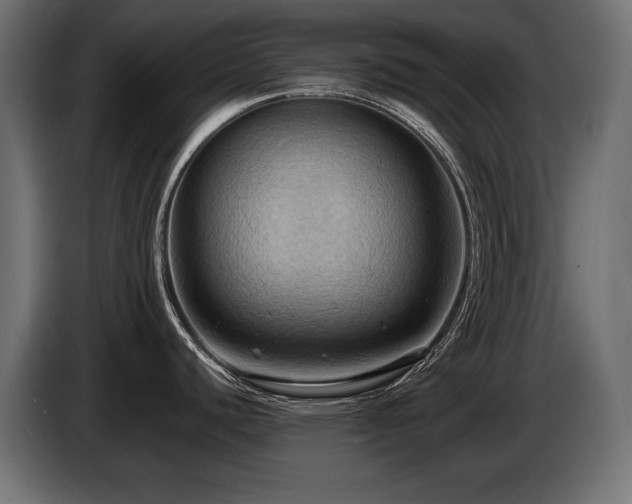 X0000086731440200704131057