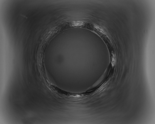 X0000086731441200704131056