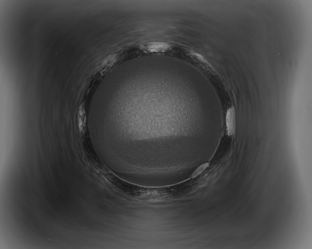 X0000086731443200704131056