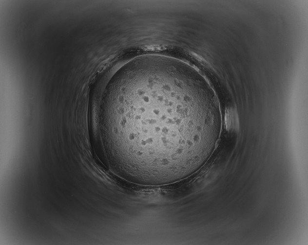 X0000086731444200704131056