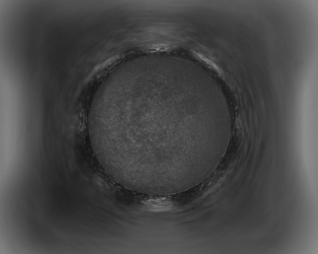 X0000086731447200704131056