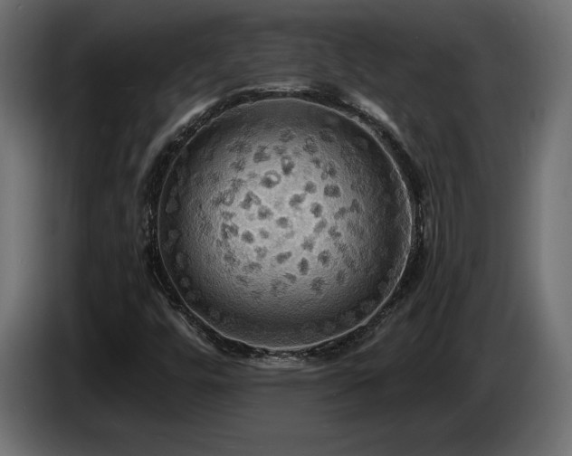 X0000086731448200704131056