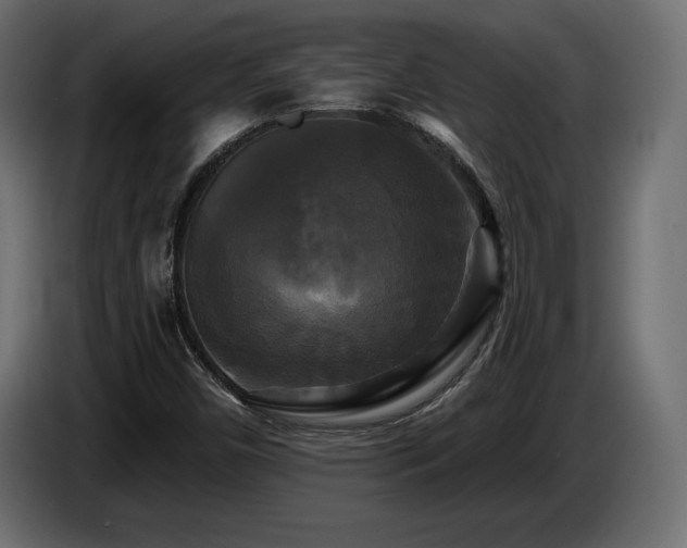 X0000086731450200704131056