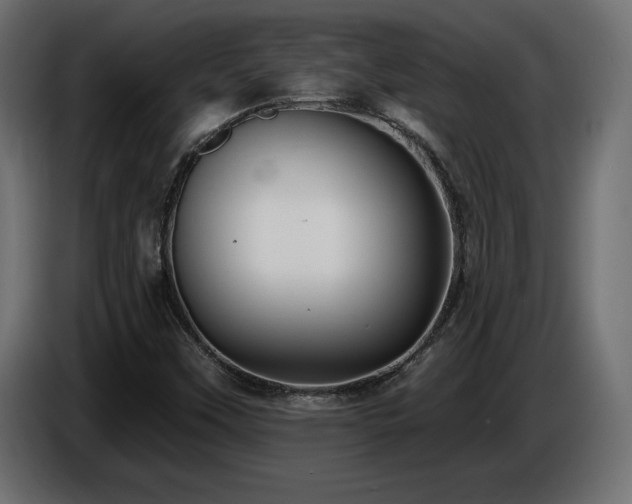 X0000086731451200704131056