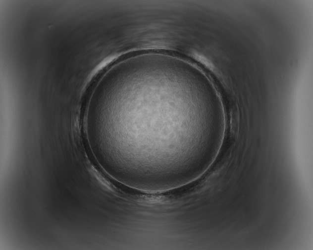 X0000086731452200704131056