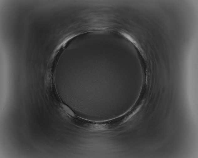 X0000086731453200704131056