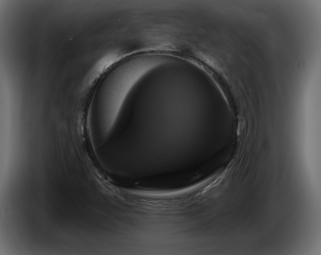 X0000086731455200704131056