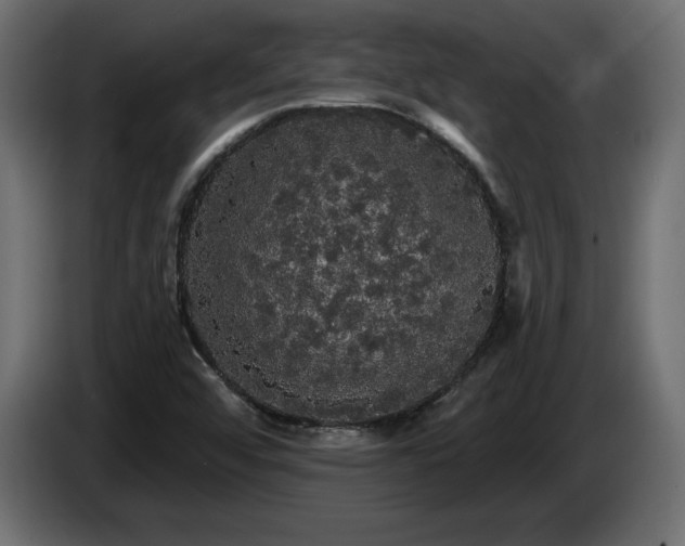 X0000086731456200704131056