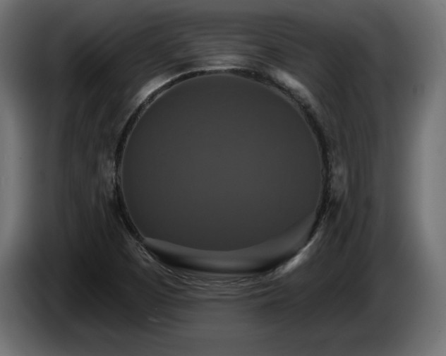 X0000086731457200704131056