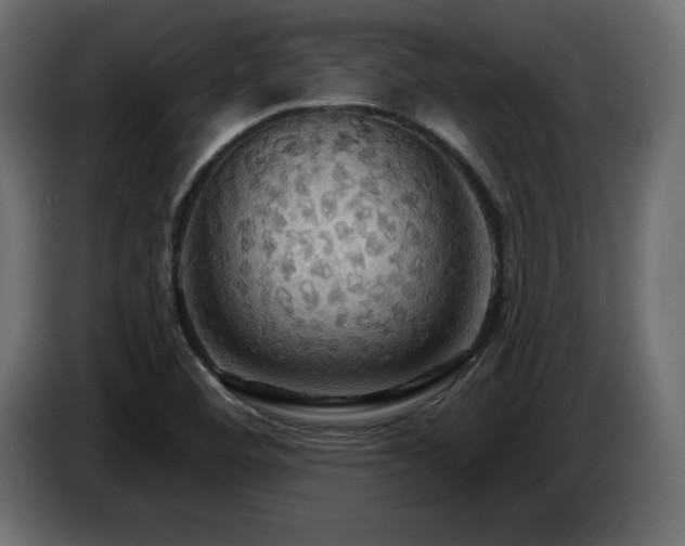 X0000086731460200704131056