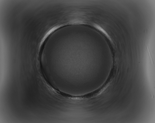 X0000086731461200704131056