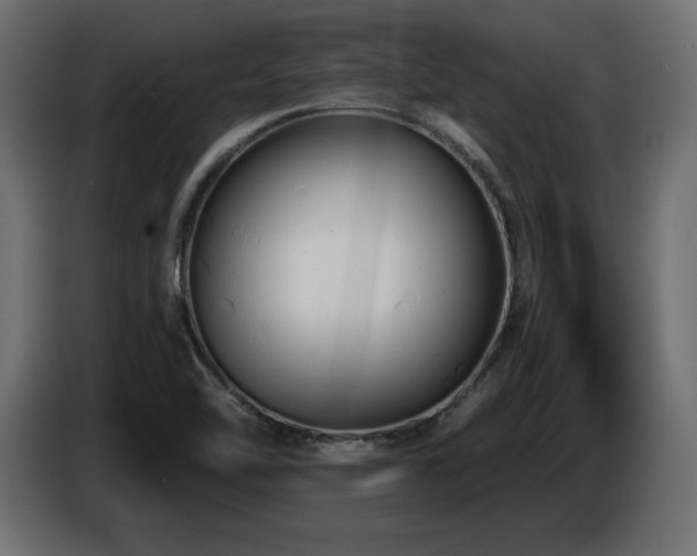 X0000086731462200704131056