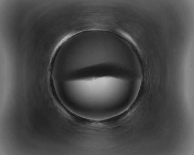 X0000086731463200704131056