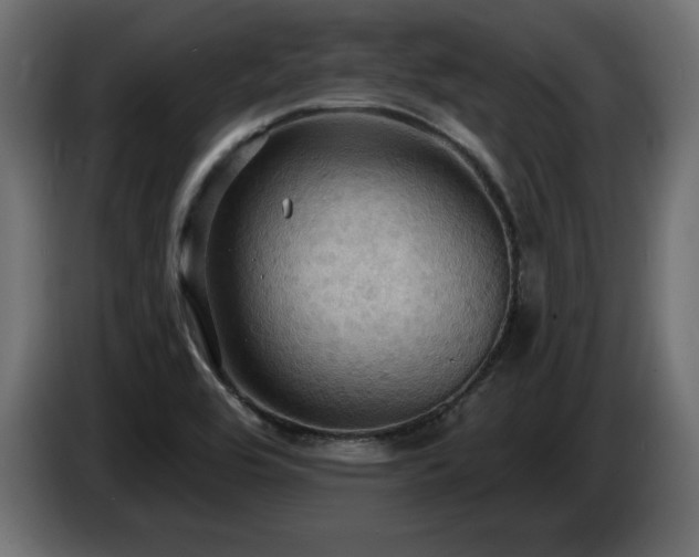 X0000086731464200704131056