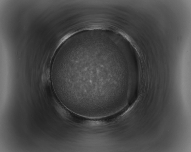 X0000086731465200704131056