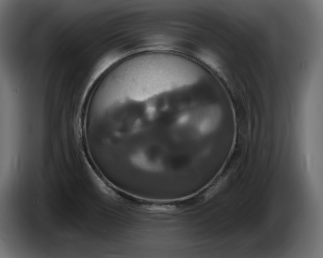 X0000086731466200704131056