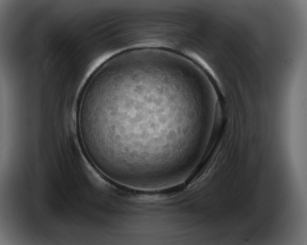 X0000086731468200704131056