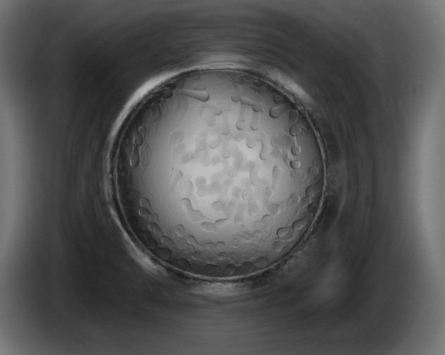 X0000086731470200704131056