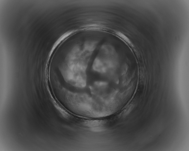 X0000086731474200704131056