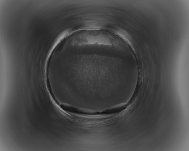 X0000086731475200704131055