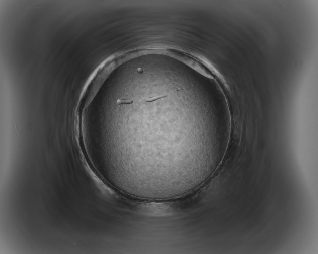X0000086731476200704131055
