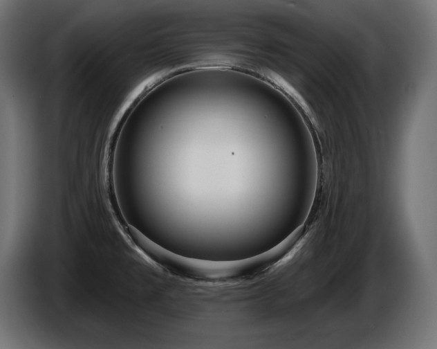 X0000086731477200704131055