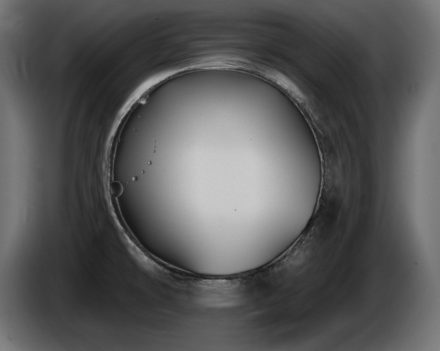 X0000086731478200704131055