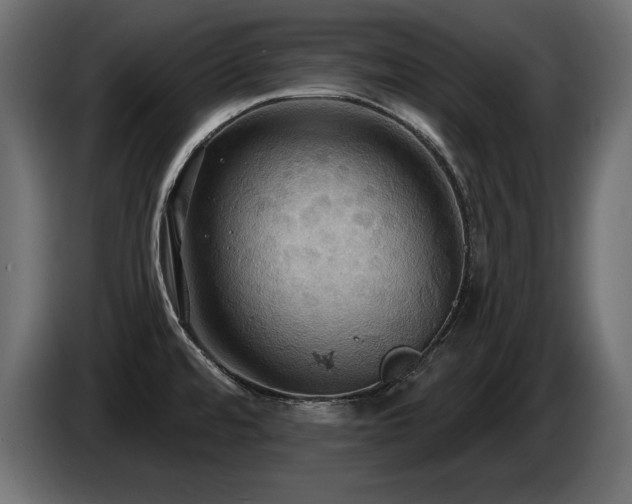 X0000086731480200704131055