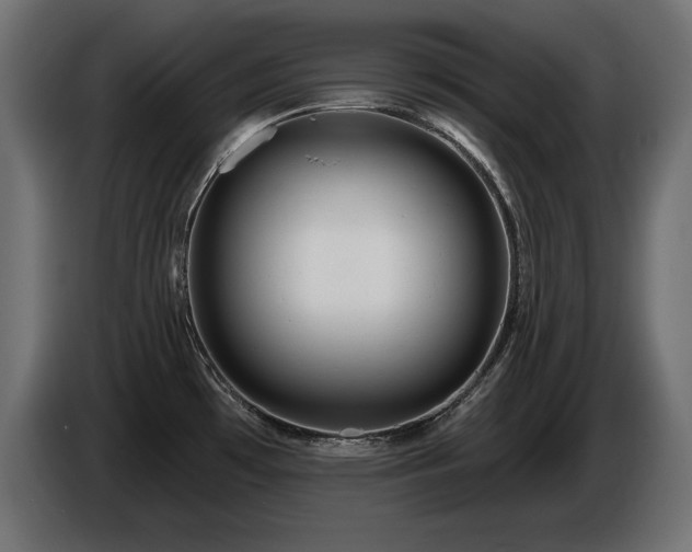 X0000086731481200704131055
