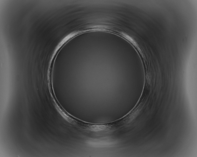X0000086731482200704131055
