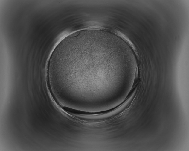 X0000086731483200704131055