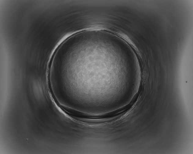 X0000086731484200704131055
