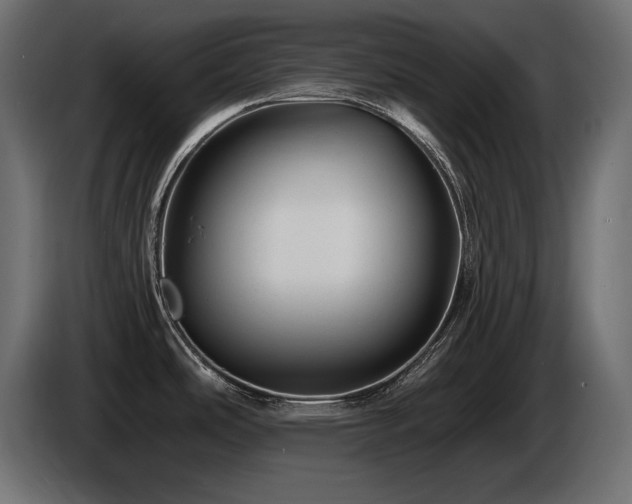 X0000086731486200704131055
