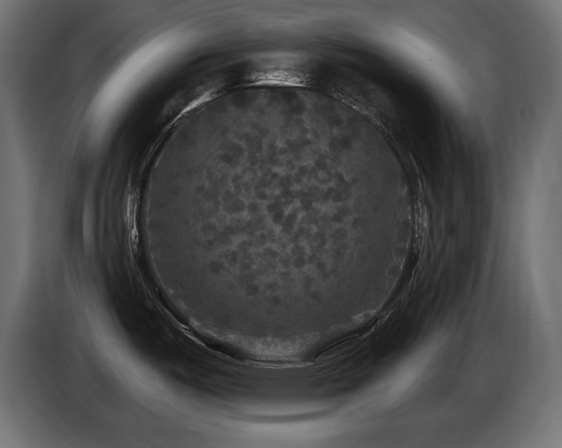 X0000086731487200704131055