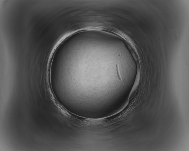 X0000086731488200704131055