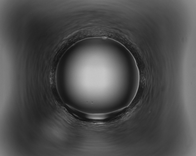 X0000086731490200704131055