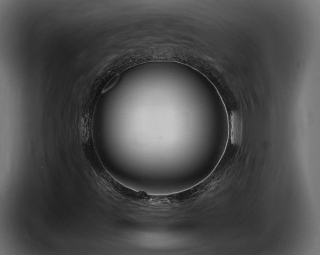X0000086731491200704131055