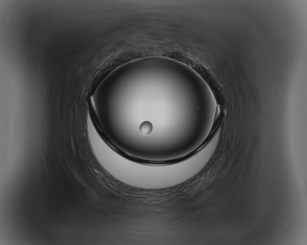 X0000086731492200704131055