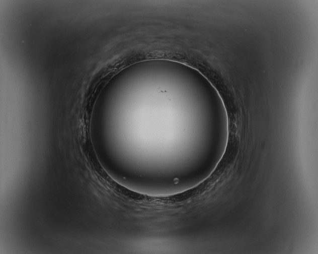 X0000086731493200704131055