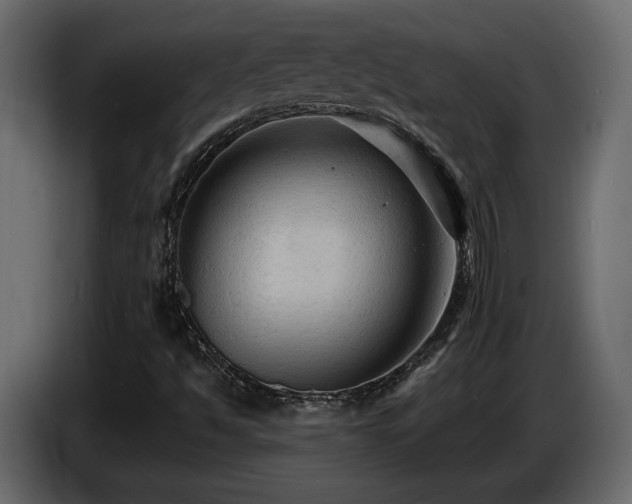 X0000086731494200704131055