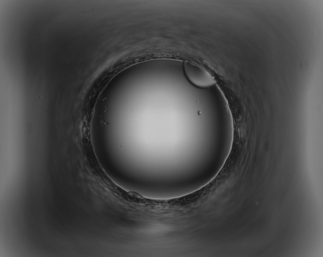 X0000086731495200704131055