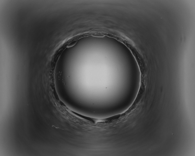 X0000086731496200704131055